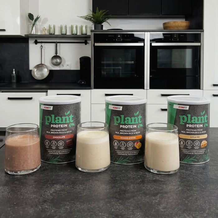 ICONFIT Plant Protein (480g)